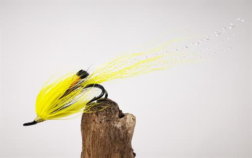 Allys Shrimp Yellow