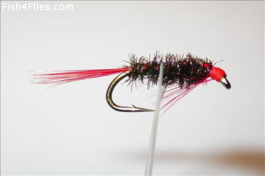 Beadie Bloodworm Fly - Fishing Flies with Fish4Flies UK