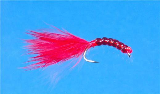 Beadie Bloodworm Fly - Fishing Flies with Fish4Flies Europe
