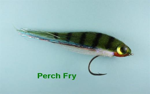 Mini Perch Fry